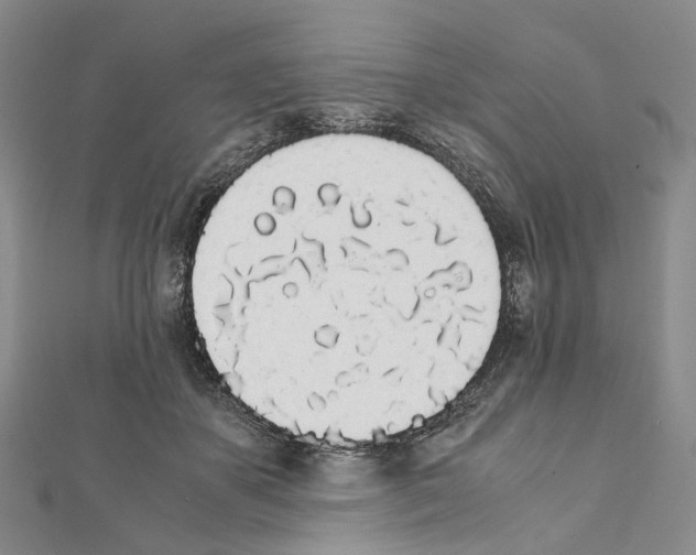 X0000111450507200908241209
