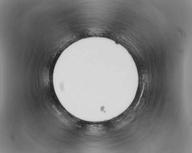X0000111450508200908241209