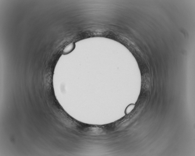 X0000111450509200908241209