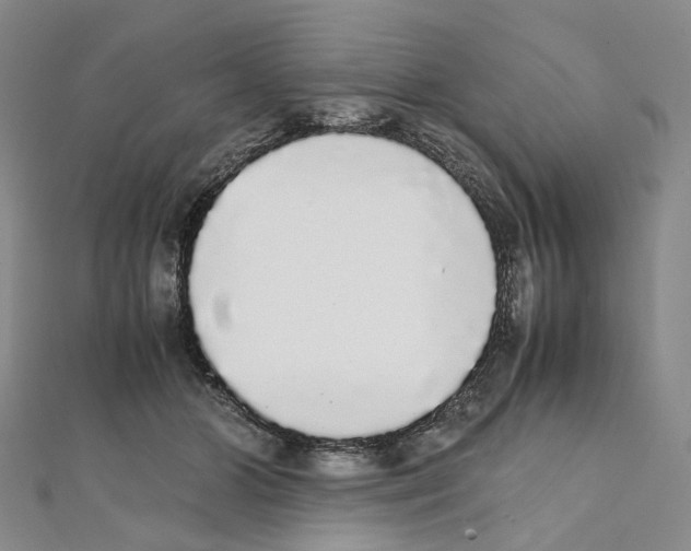 X0000111450510200908241209