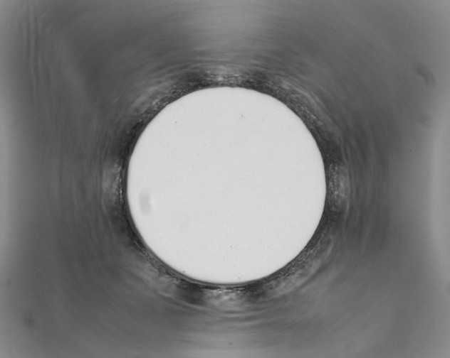 X0000111450511200908241209
