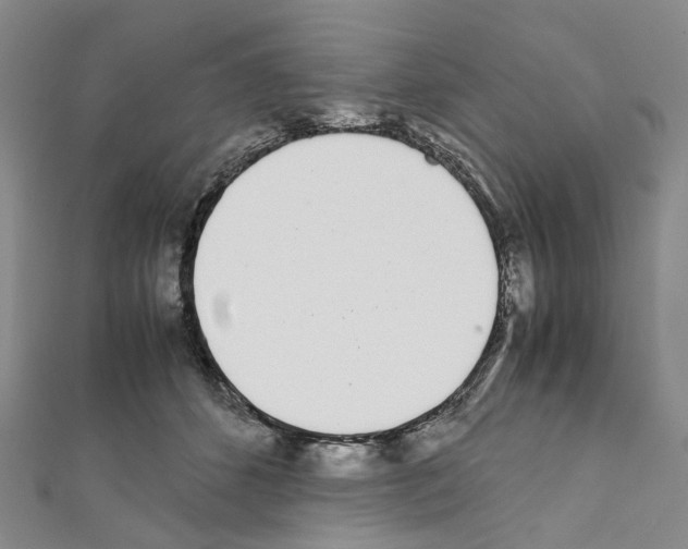X0000111450512200908241209