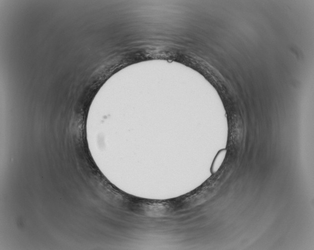 X0000111450513200908241209