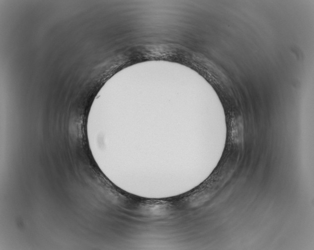 X0000111450514200908241209