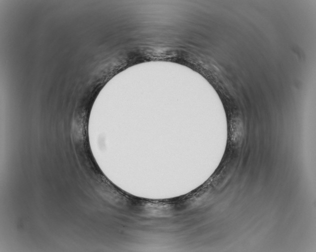 X0000111450515200908241209