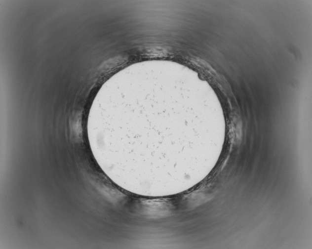 X0000111450516200908241209