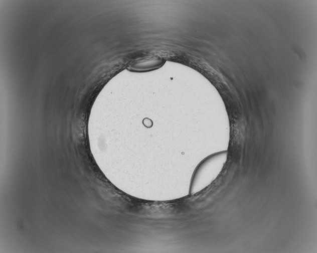 X0000111450517200908241209
