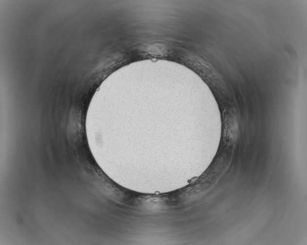 X0000111450518200908241209
