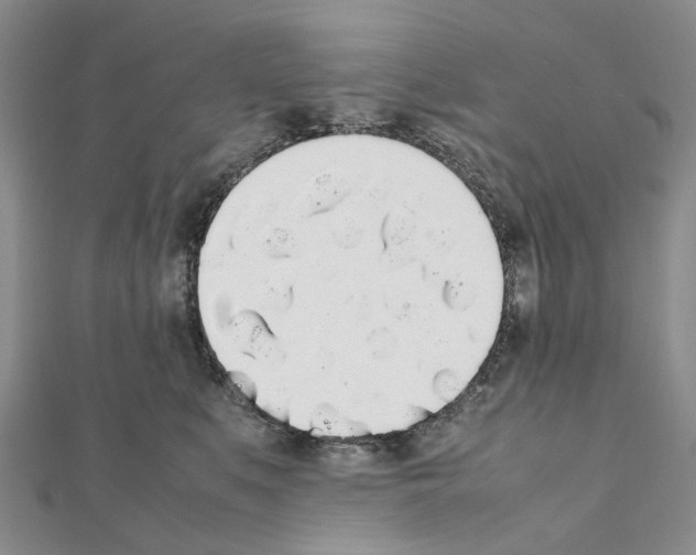X0000111450519200908241208