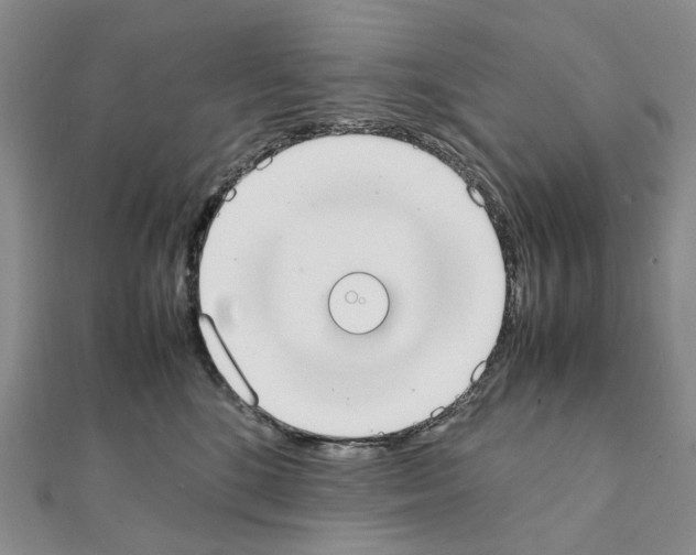 X0000111450520200908241208