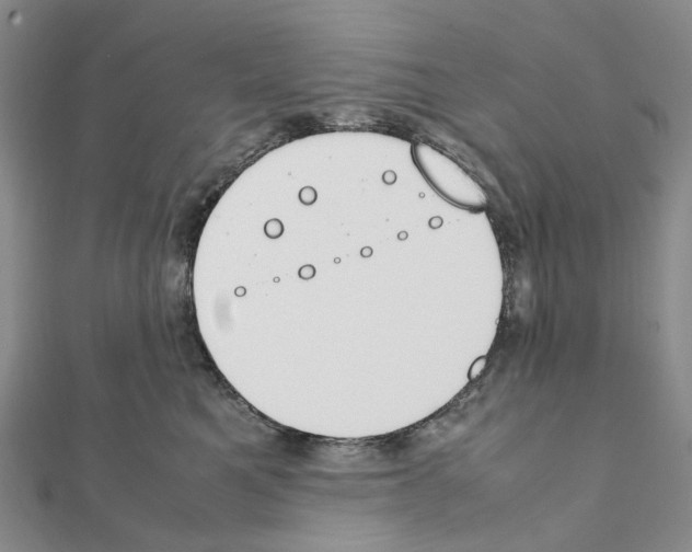X0000111450521200908241208