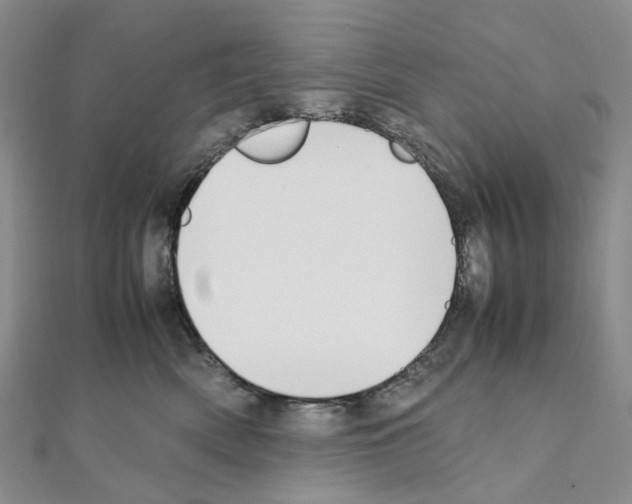 X0000111450522200908241208
