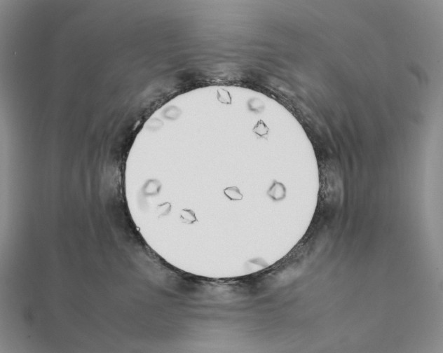 X0000111450523200908241208