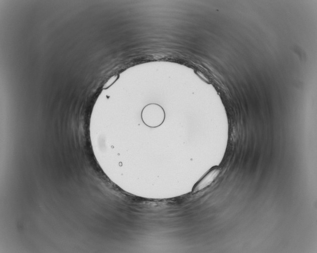 X0000111450524200908241208