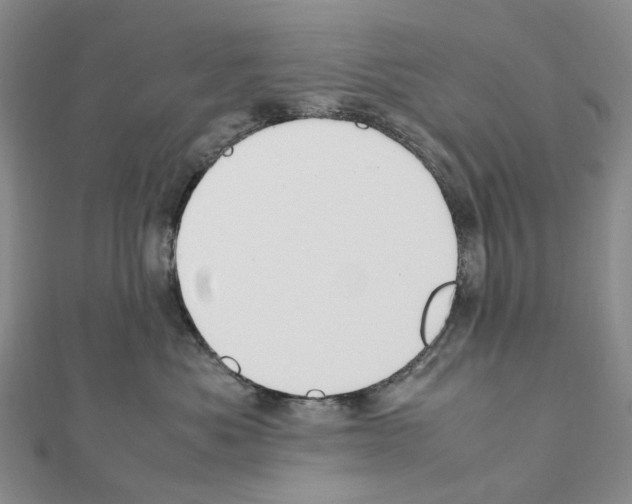 X0000111450525200908241208