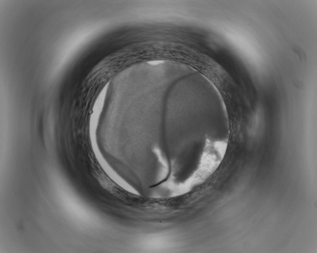 X0000111450526200908241208