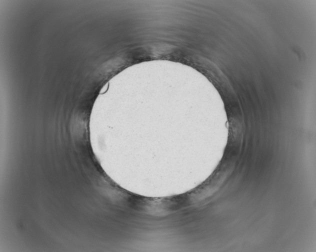 X0000111450527200908241208