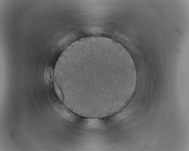X0000111450528200908241208
