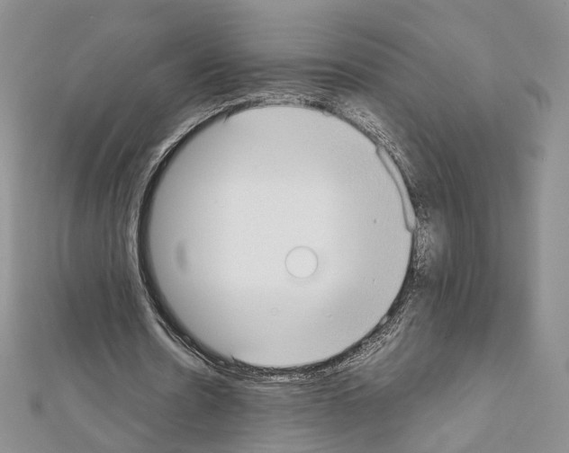 X0000111450530200908241208
