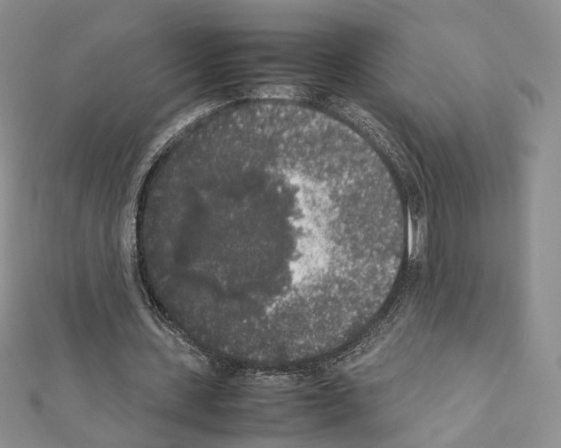 X0000111450531200908241208