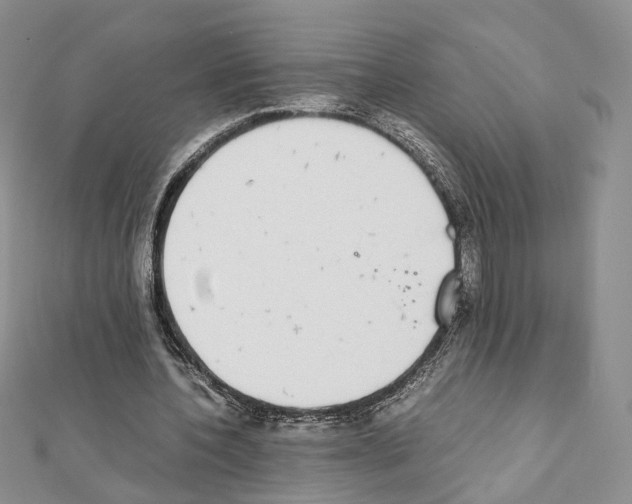 X0000111450532200908241208