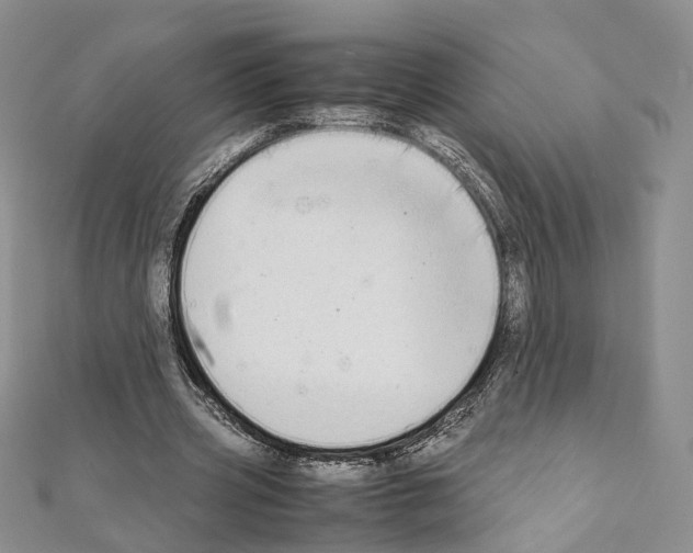 X0000111450533200908241208