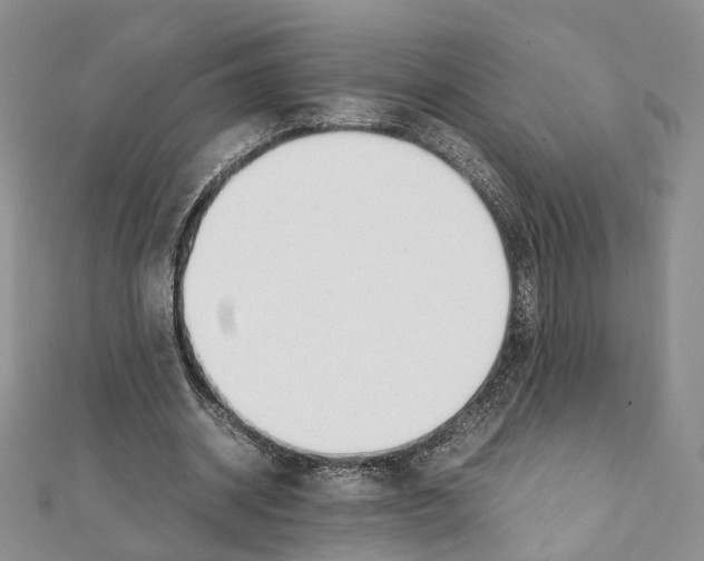 X0000111450534200908241208