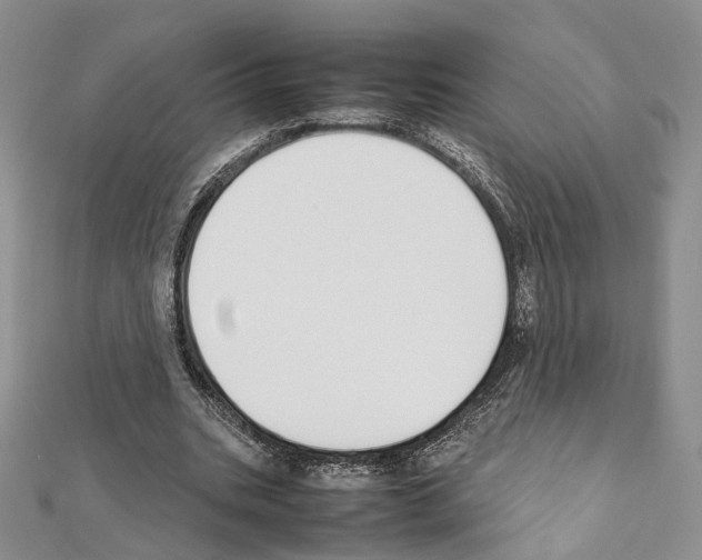 X0000111450535200908241208