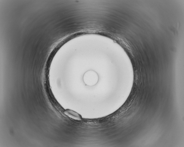 X0000111450536200908241208
