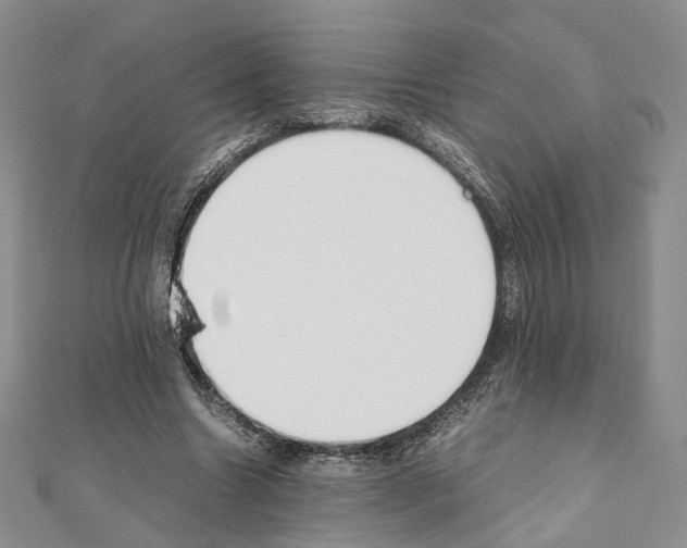 X0000111450538200908241208