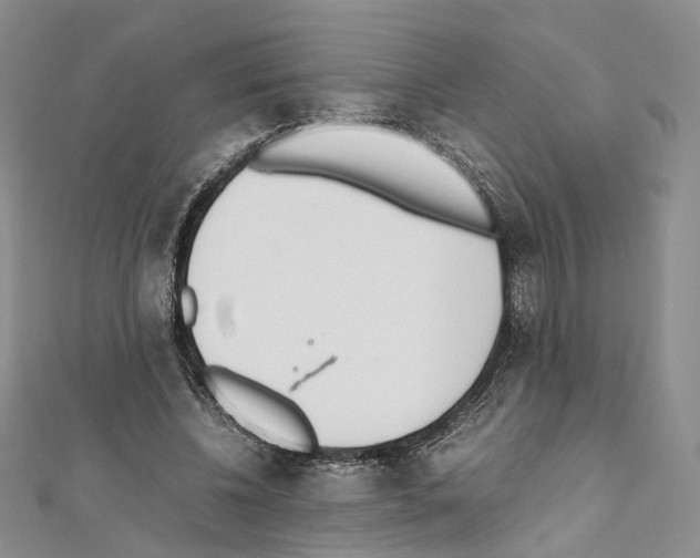 X0000111450540200908241208