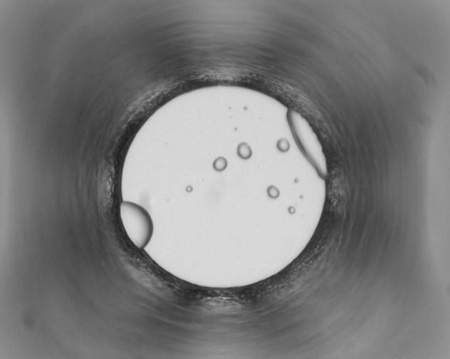X0000111450544200908241208