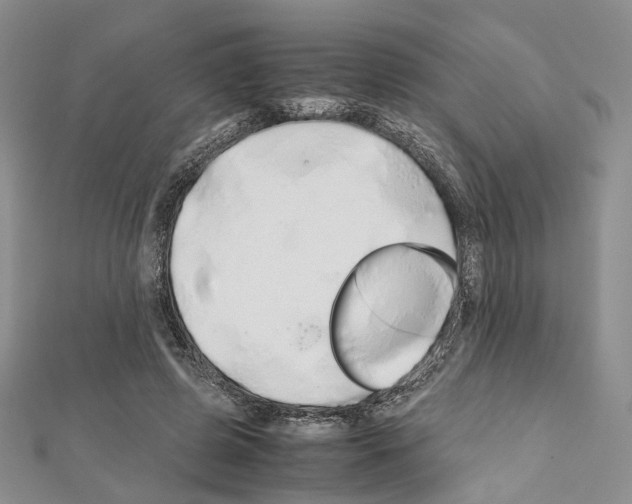 X0000111450545200908241208