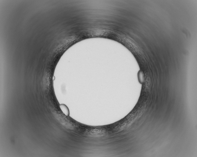 X0000111450546200908241208