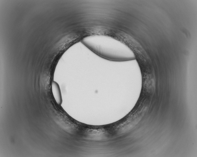 X0000111450548200908241208