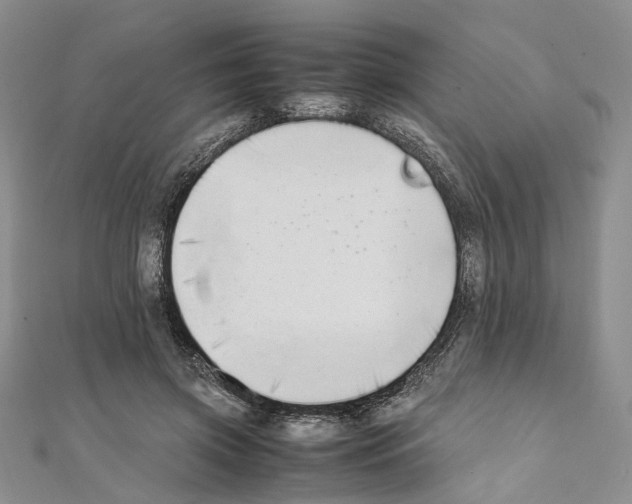 X0000111450549200908241208
