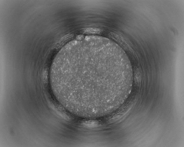 X0000111450551200908241208
