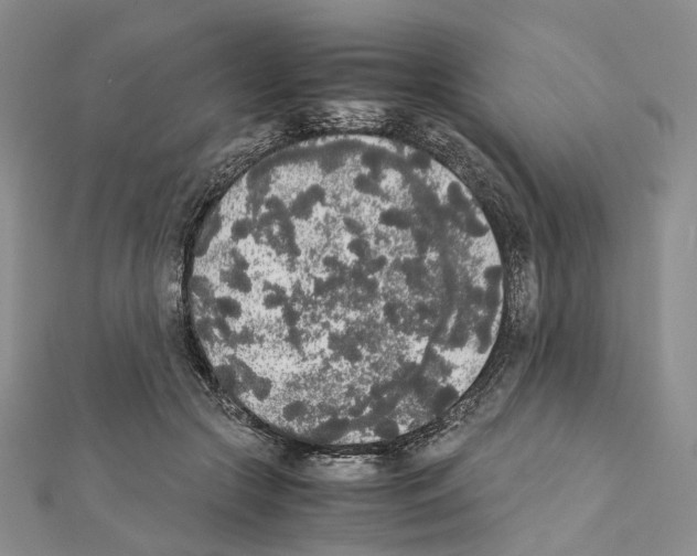 X0000111450553200908241208