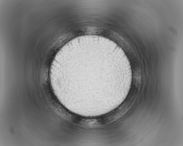 X0000111450554200908241208