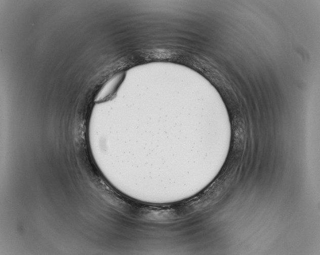 X0000111450555200908241208