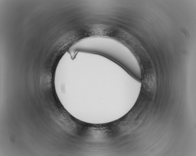 X0000111450556200908241208