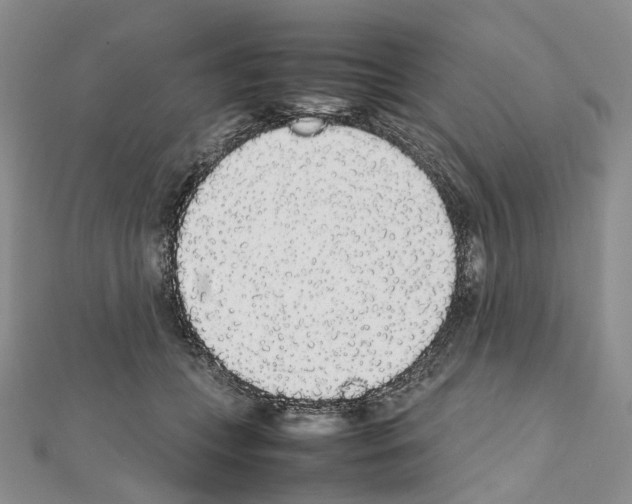 X0000111450559200908241208