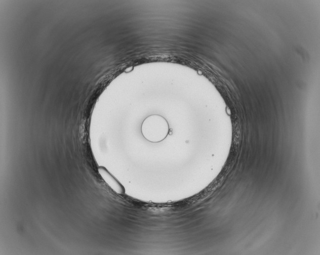 X0000111450560200908241208