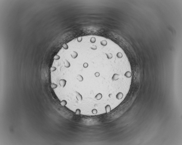X0000111450561200908241208