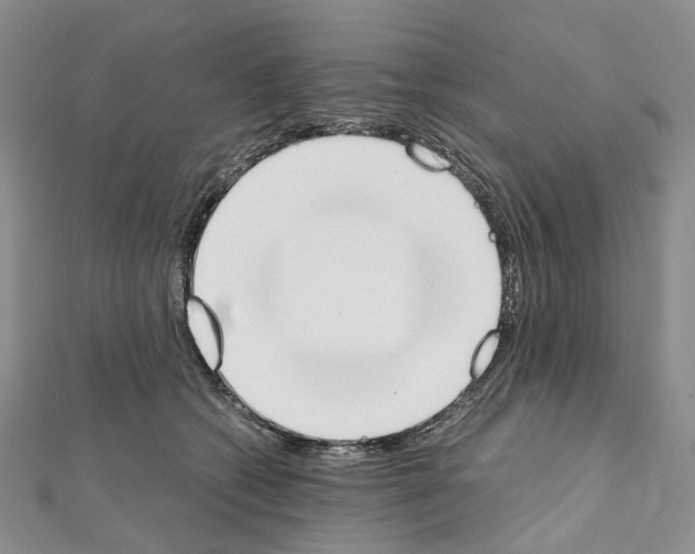 X0000111450562200908241208