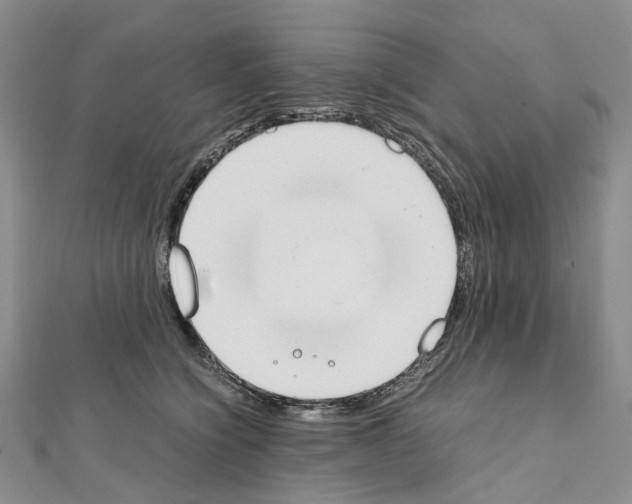 X0000111450564200908241208