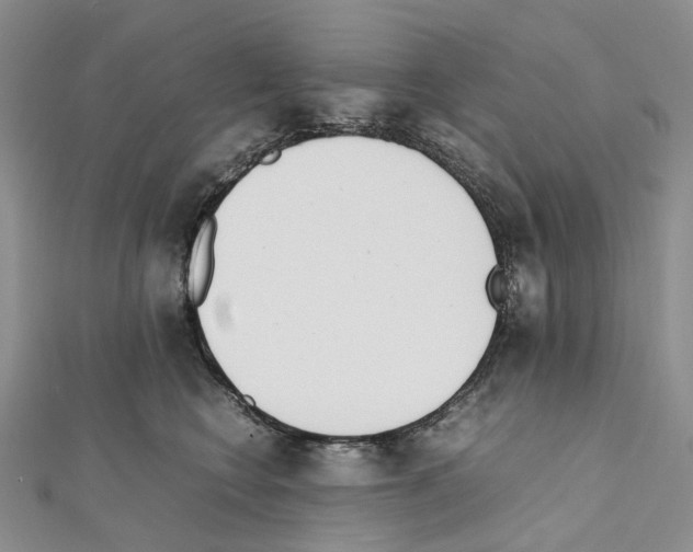 X0000111450566200908241208