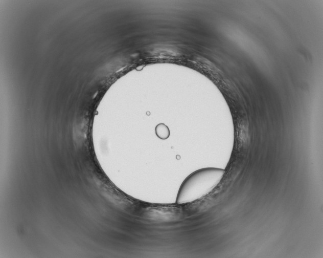 X0000111450567200908241208
