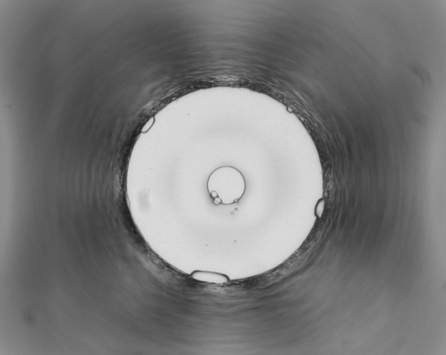 X0000111450568200908241208