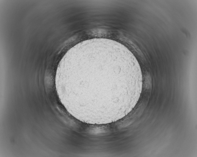 X0000111450569200908241208